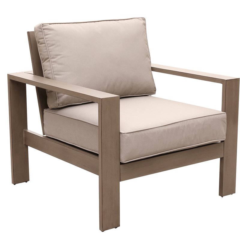 Daly Patio Chair with Cushion